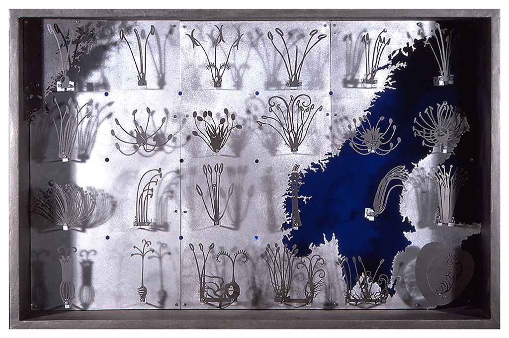 The 24 typologies of Linné’s Nature